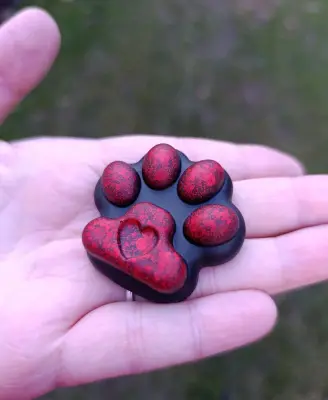 Magnet tlapka