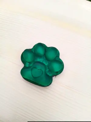 Tlapka magnet