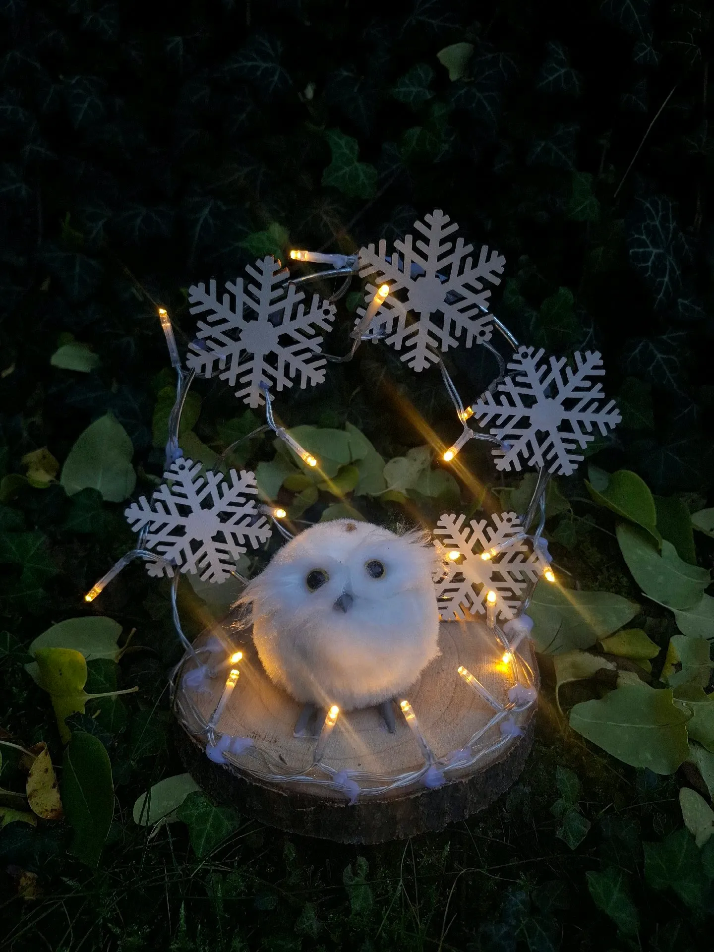 Vánoční sovička s LED světýlky 1