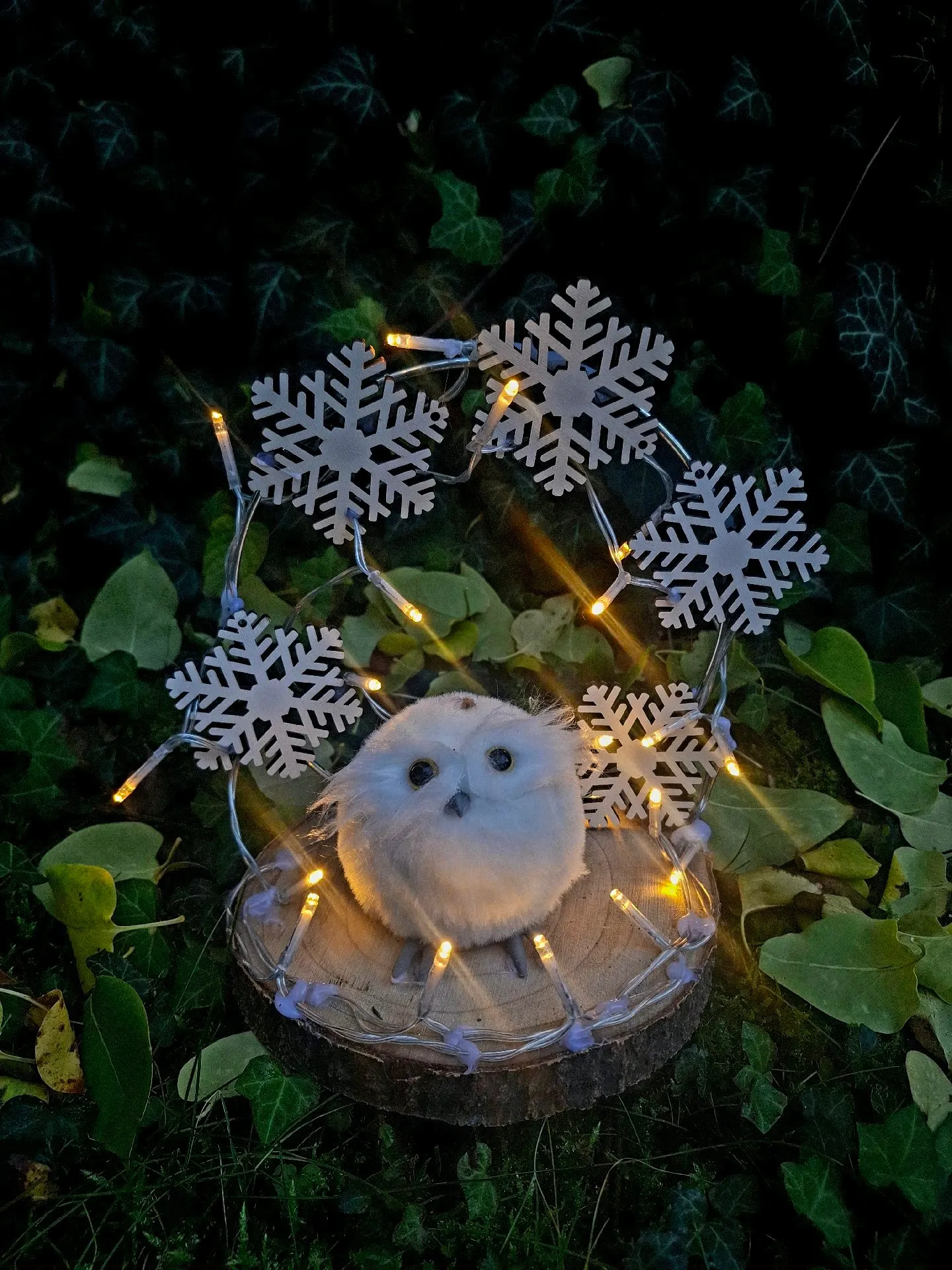 Vánoční sovička s LED světýlky 2