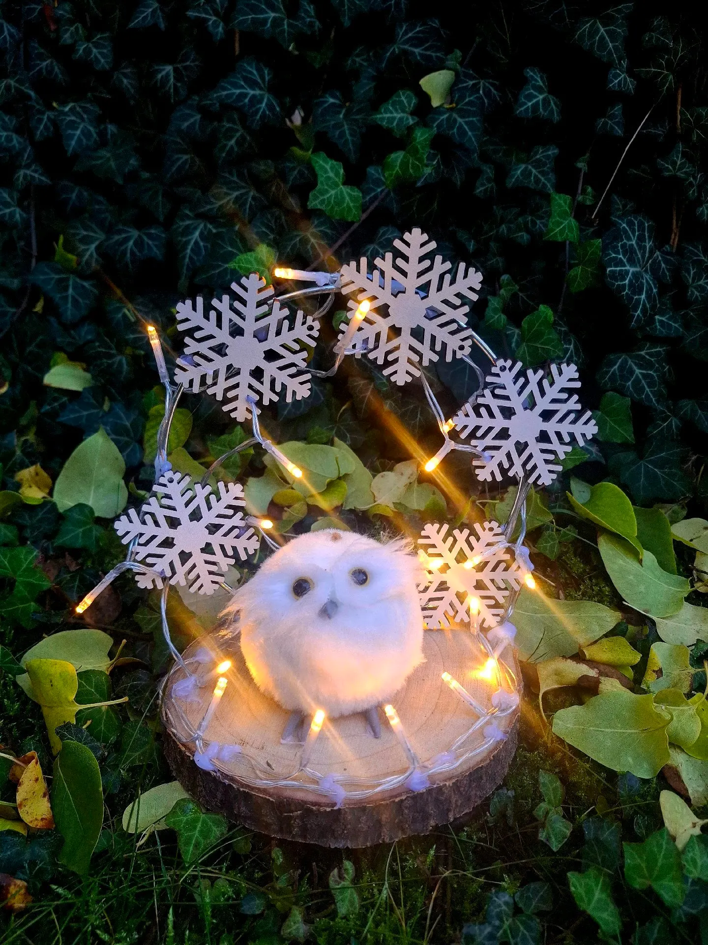 Vánoční sovička s LED světýlky 3