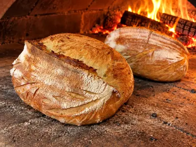 Žitný kvásek