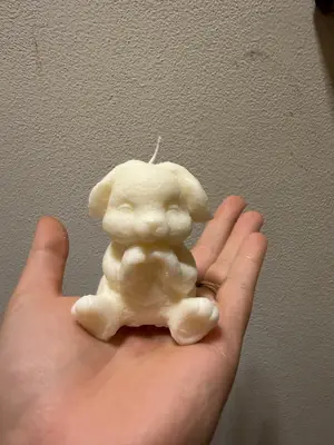 🐰🤍✨ KRÁLÍČEK Z LÁSKY ✨🤍🐰💕