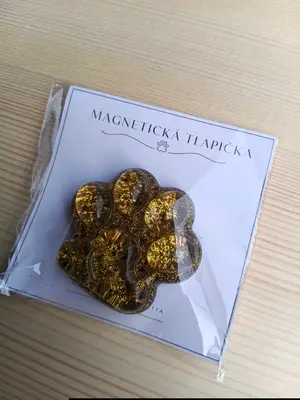 Magnet tlapka
