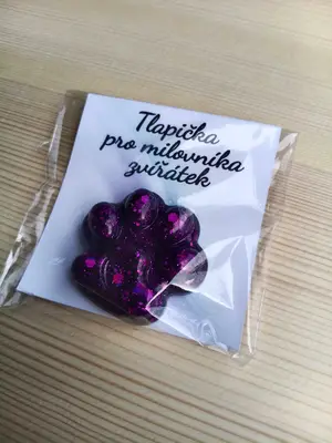 Magnet - tlapka