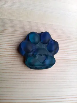 Magnet tlapka