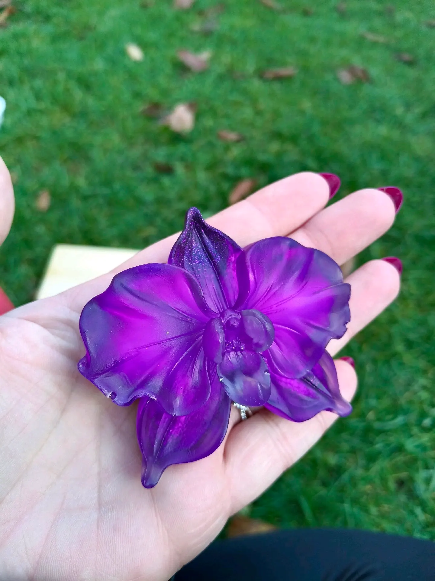Výběr orchidej