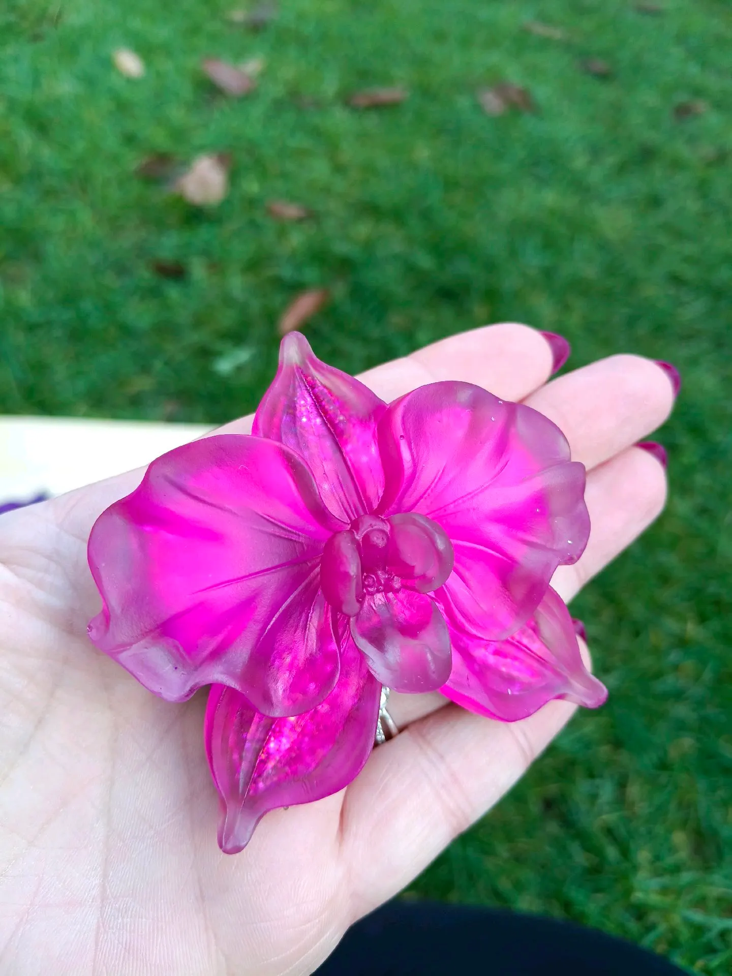 Výběr orchidej 1