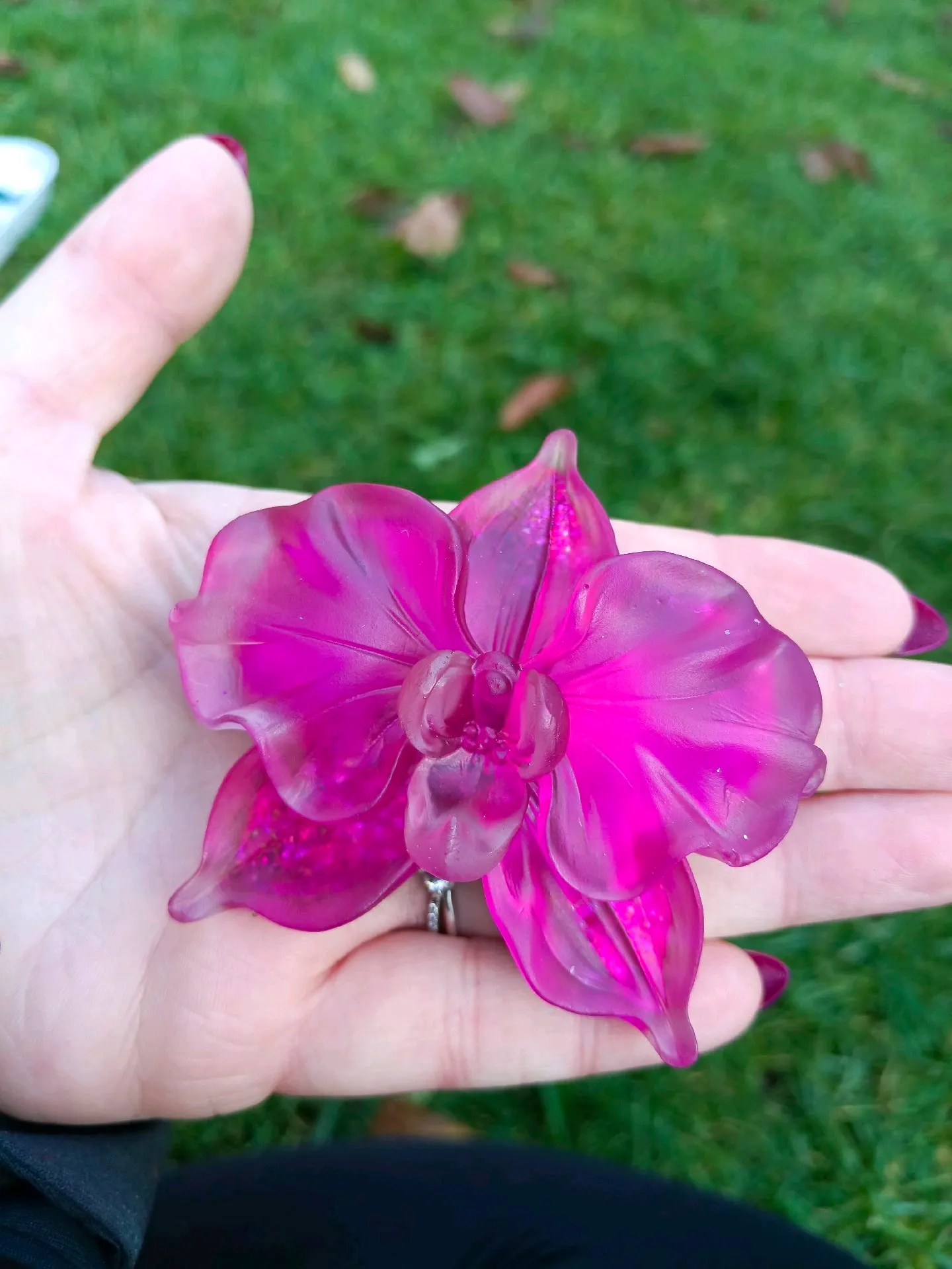 Výběr orchidej 2