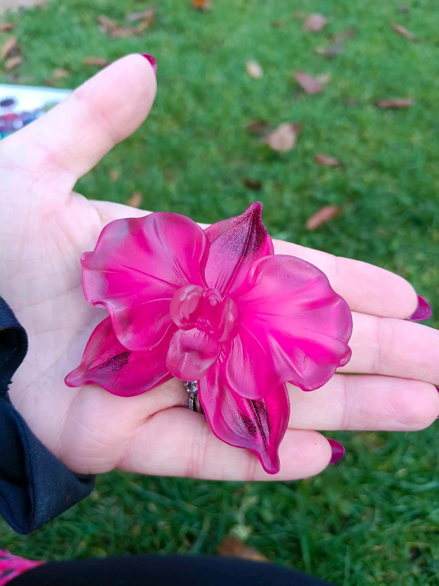 Výběr orchidej 1